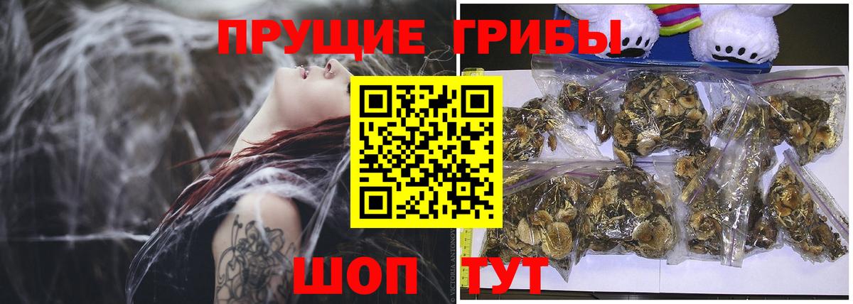 Чебаркуль  наркотики  Галлюциногенные грибы Psilocybine cubensis  Вход с VPN  Псилоцибиновые грибы ЛСД 